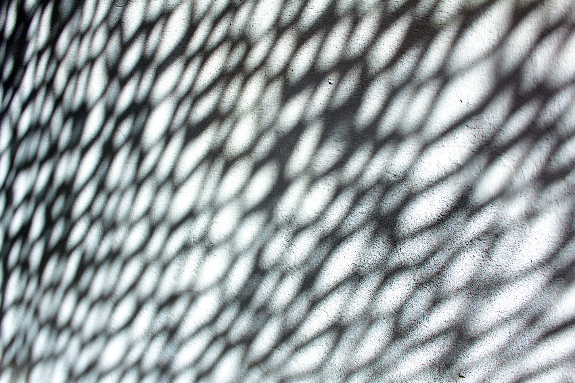 IMG 7203b